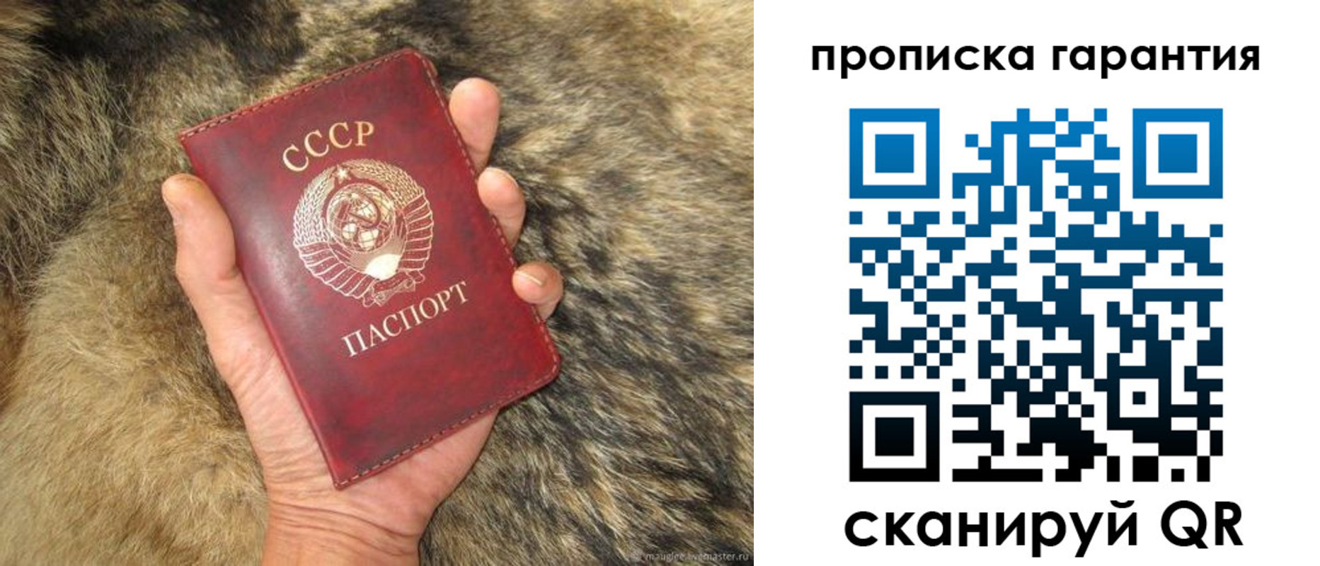 прописка паспорт в Зеленоградске